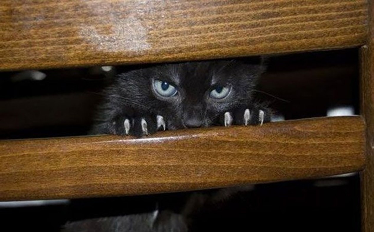 Советы женщинам, как не следует себя вести после расставания