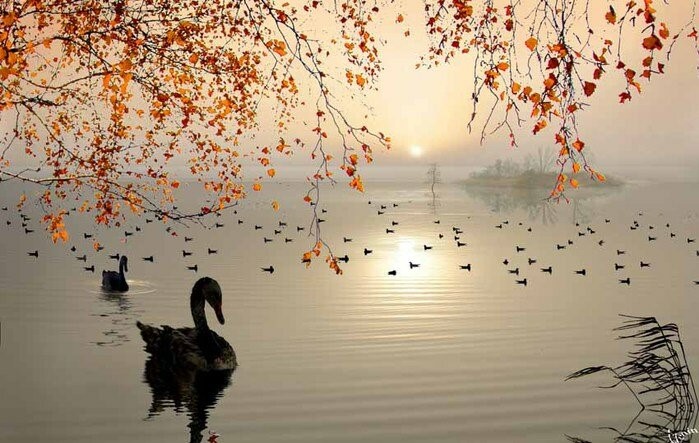 Что пугает современного человека, и как с этим справиться