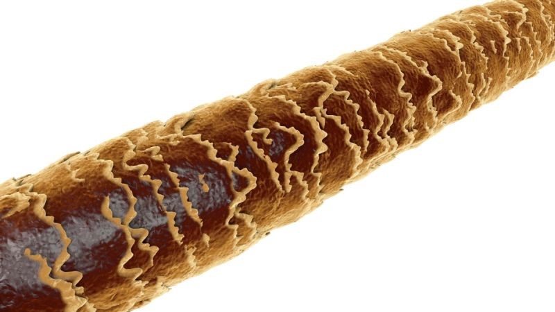 6 причин раннего поседения волос