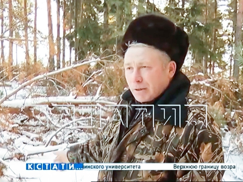 На жителя Нижегородской области завели уголовное дело за сбор "неправильного" валежника