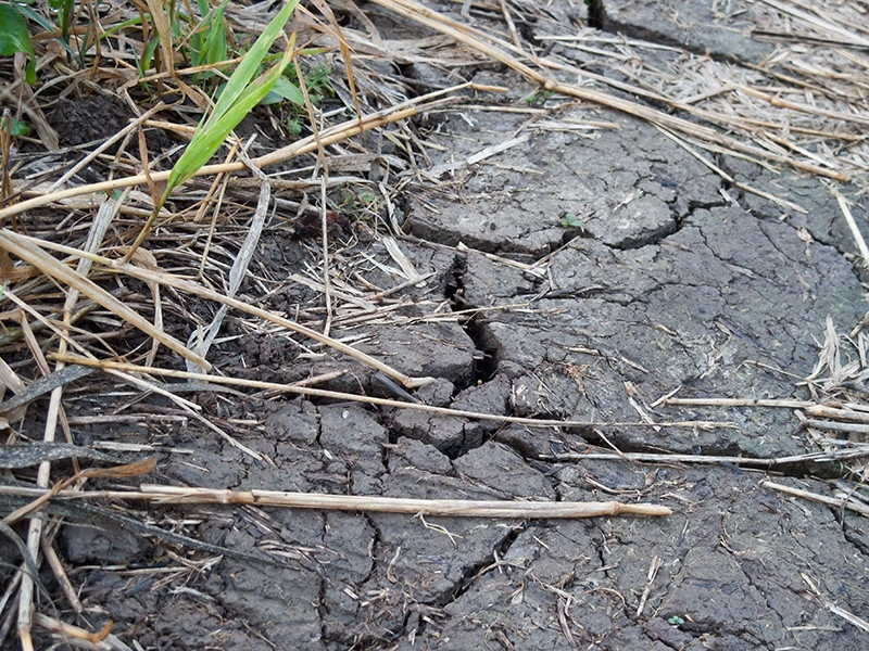 Потепление климата в России идет в три раза быстрее, чем в других странах: стране грозят новые техногенные катастрофы