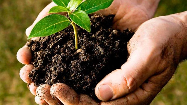 Минсельхоз примет меры для сдерживания роста цен на удобрения