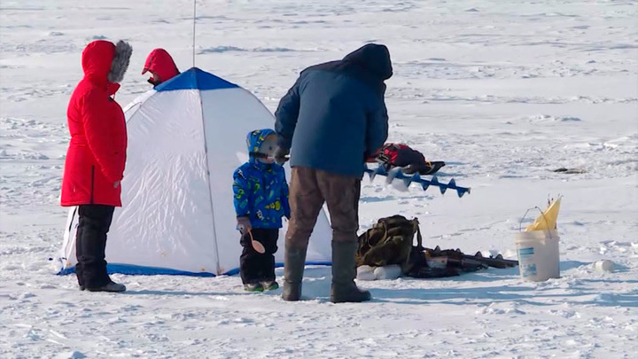 Поймал – продай! В России могут ввести "социальное рыболовство"