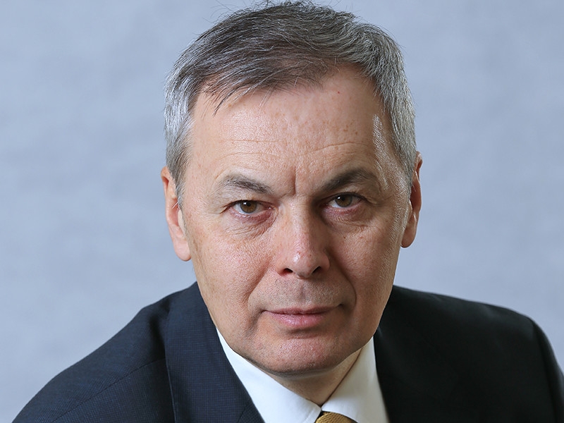 Соавтор закона о "нежелательных организациях" извинился перед условно осужденной Анастасией Шевченко