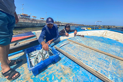 Израиль разрешил палестинцам ловить рыбу