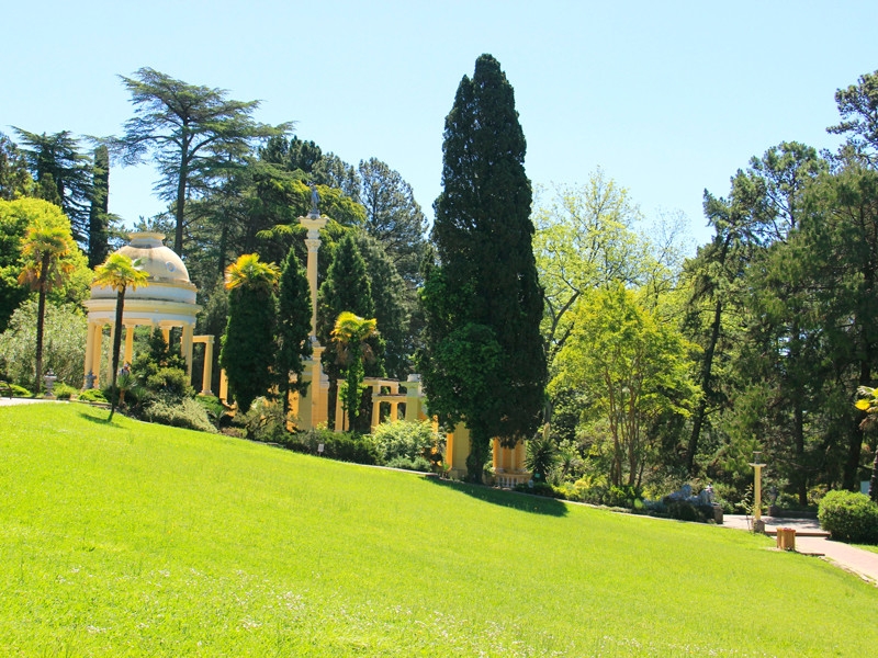 В сочинском дендрарии  посетители вытоптали  уникальную орхидею