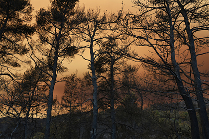 Греция запросила у России второй самолет для тушения пожаров