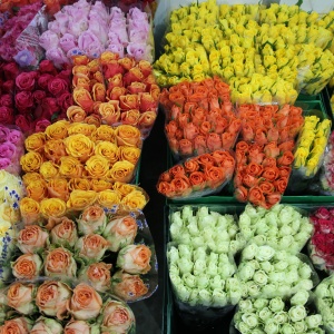 База живых цветов: ассортимент, условия оформления заказа