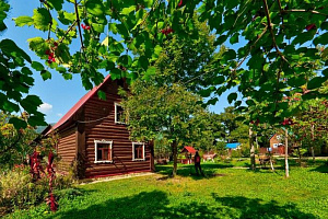 Отдых в деревне: что это, преимущества