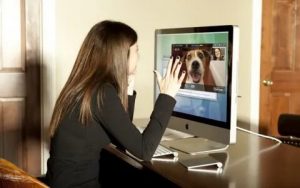 Онлайн рулетка: понятие, кому будет интересна