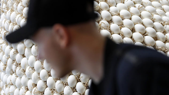 Российские птицефабрики испытывают дефицит инкубационных яиц