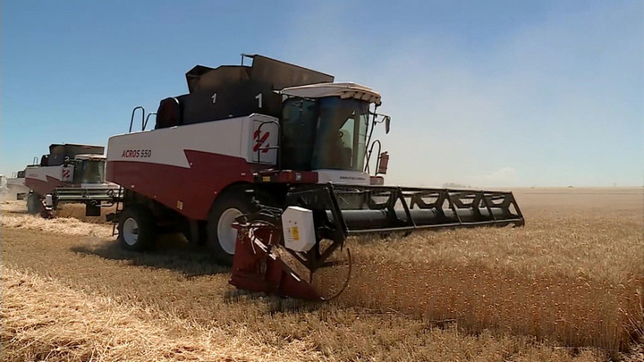 Российские экспортеры зерна привержены исполнению обязательств