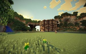 Лицензионный аккаунт MineCraft: правила использования