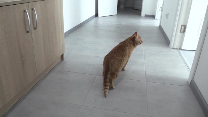 "Исторические" 100 млн кв. метров жилья введут в России по итогам 2022 года