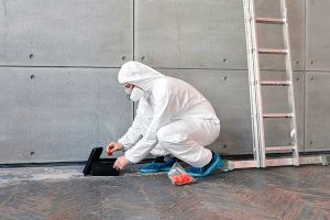 Как проводится дератизация грызунов: полезные советы и основные этапы