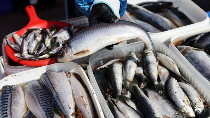 Поставки российской рыбы в дружественные страны сильно увеличились