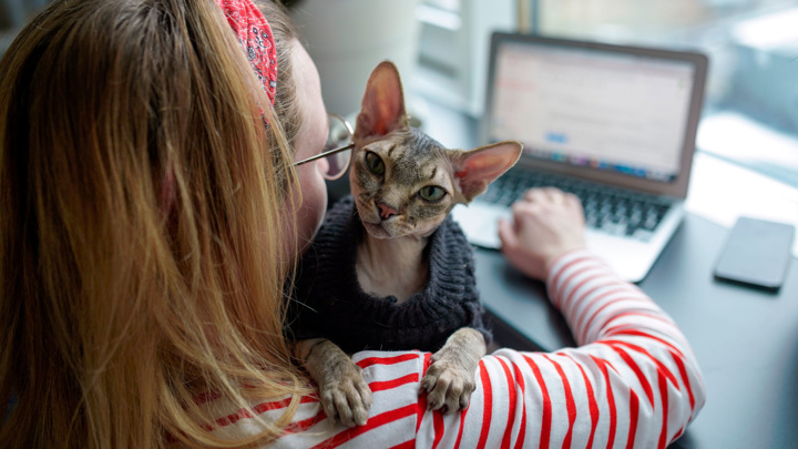 Мишустин: у граждан много вопросов к маркетплейсам, работа которых непрозрачна