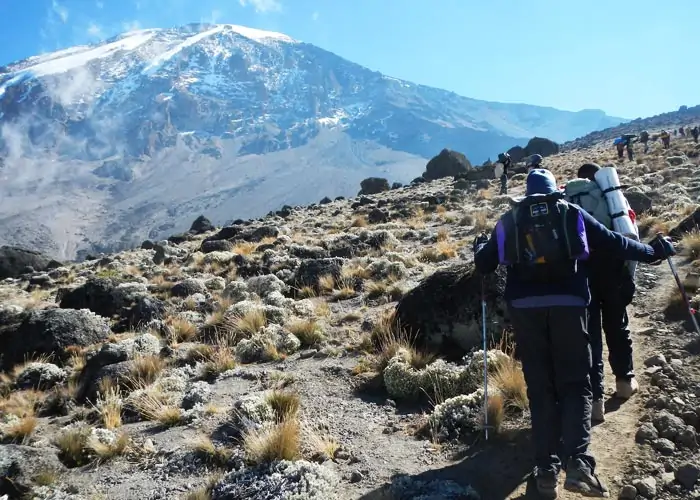 Готовы покорить Килиманджаро? Узнайте, как подготовиться к восхождению