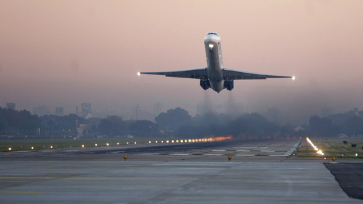 В России нашли способ обезопасить самолеты от столкновений со стаями птиц - Новости на Вести.ru