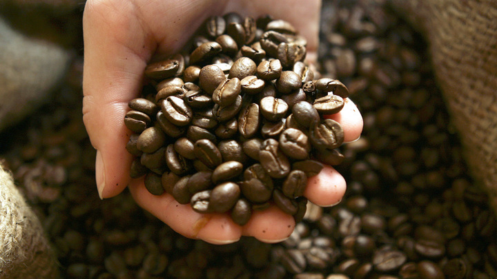 Диппредставительство: Гондурас поставит в Россию 50 контейнеров кофе - Новости на Вести.ru