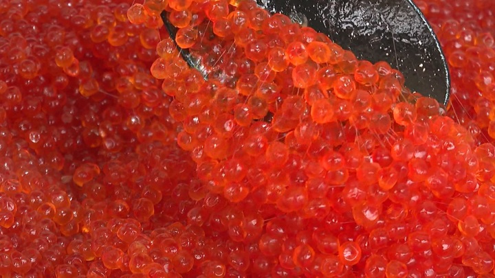РИА Новости: производство красной икры в России увеличилось почти в полтора раза - Новости на Вести.ru